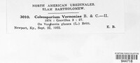 Coleosporium vernoniae image
